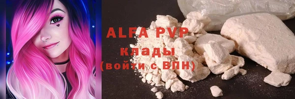 PSILOCYBIN Белокуриха
