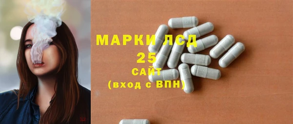 PSILOCYBIN Белокуриха