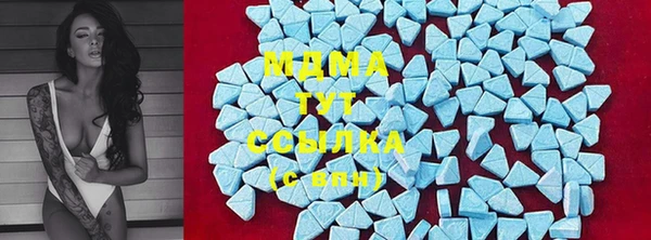 PSILOCYBIN Белокуриха