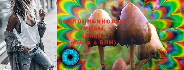 PSILOCYBIN Белокуриха