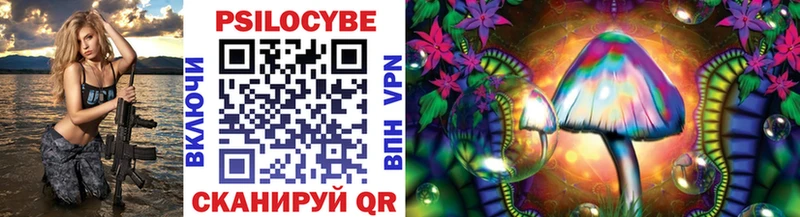 blacksprut Острогожск Галлюциногенные грибы Psilocybe где продают