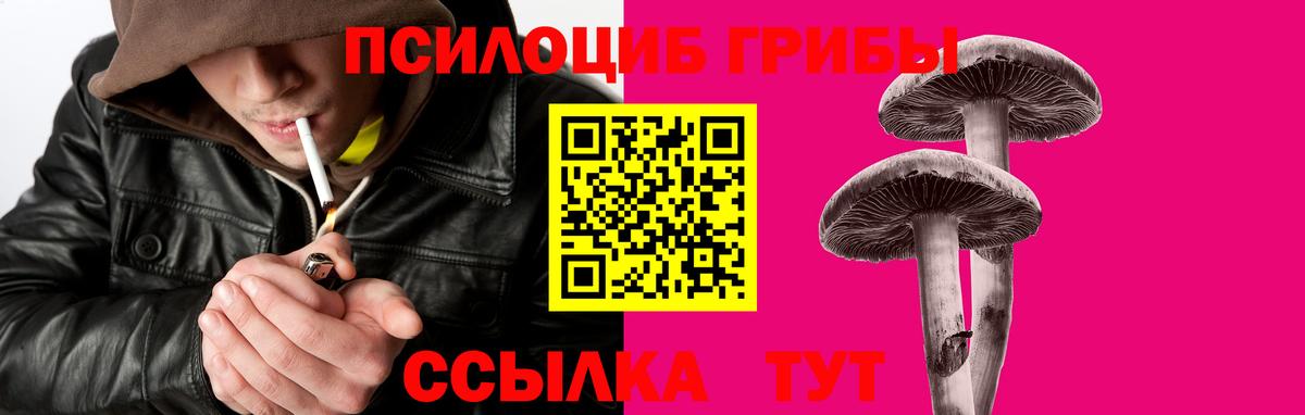 Галлюциногенные грибы Cubensis  Вход с VPN  где найти   Острогожск 